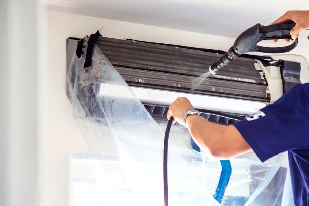 Best Dryer Vent Cleaning Services  in Young Harris, GA