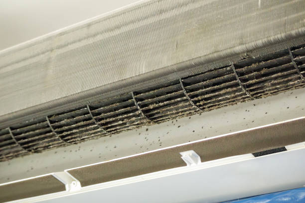 Best Local Air Duct Cleaning Services  in Young Harris, GA